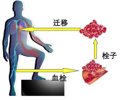 微信图片_20230803115036.png